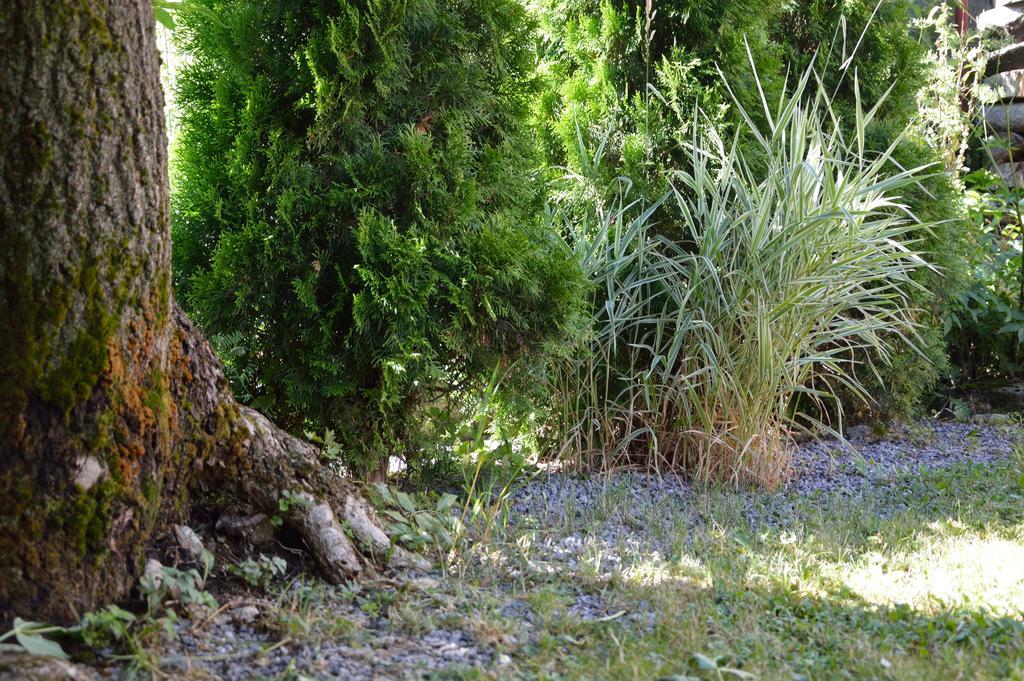 Penzion U Laca Zuberec Εξωτερικό φωτογραφία